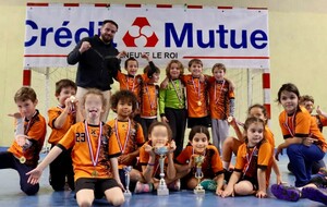 Tounoi MiniHand du VAHB