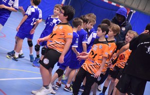 5c193129033f5_DSC0119.jpg