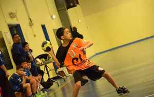 5c4465390cb27_DSC0136.jpg
