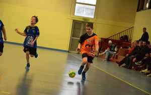 5c4de0a876075_DSC0031.jpg