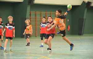 5c6945205ab24_DSC0026.jpg