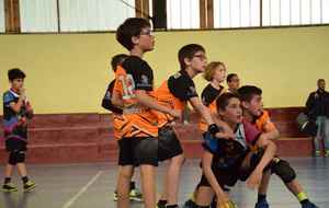 5ce5aeba4ed46_DSC0149.jpg