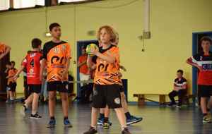5cef8af69795f_DSC0174.jpg