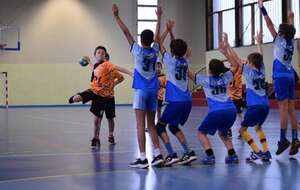 5f917b0606692_DSC0310.jpg