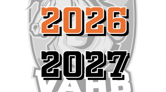 Rejoins le Villeneuve-Ablon HandBall en 2026 / 27